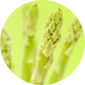 やさいとお花の画像